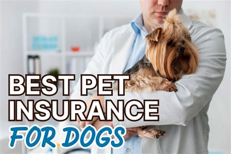 covered for life dog insurance.